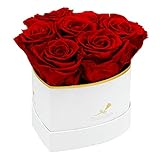 Rosenlieb Herz Rosenbox mit 6 Infinity Rosen (3 Jahre haltbar) | Echte Blumen | Flowerbox inklusive Grußkarte...